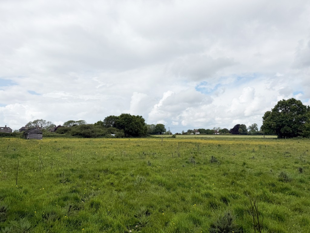 Lot: 50 - APPROXIMATELY 2.53 ACRES GRAZING LAND - Land